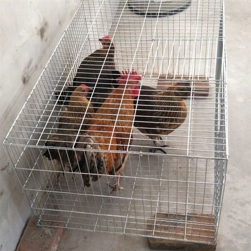 兔笼子鸡笼家f用鸽子养殖笼鹌鹑笼大兔笼子镀锌笼运输笼子母笼大