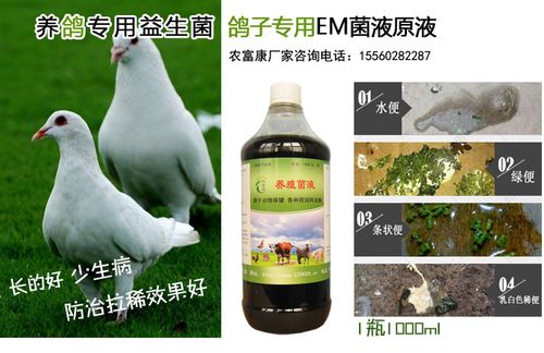 农富康鸽子养殖专用em益生菌1000ml/瓶 12瓶/箱 200元/箱 产品咨询