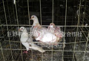 全部产品