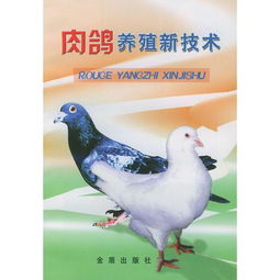 肉鸽养殖新技术