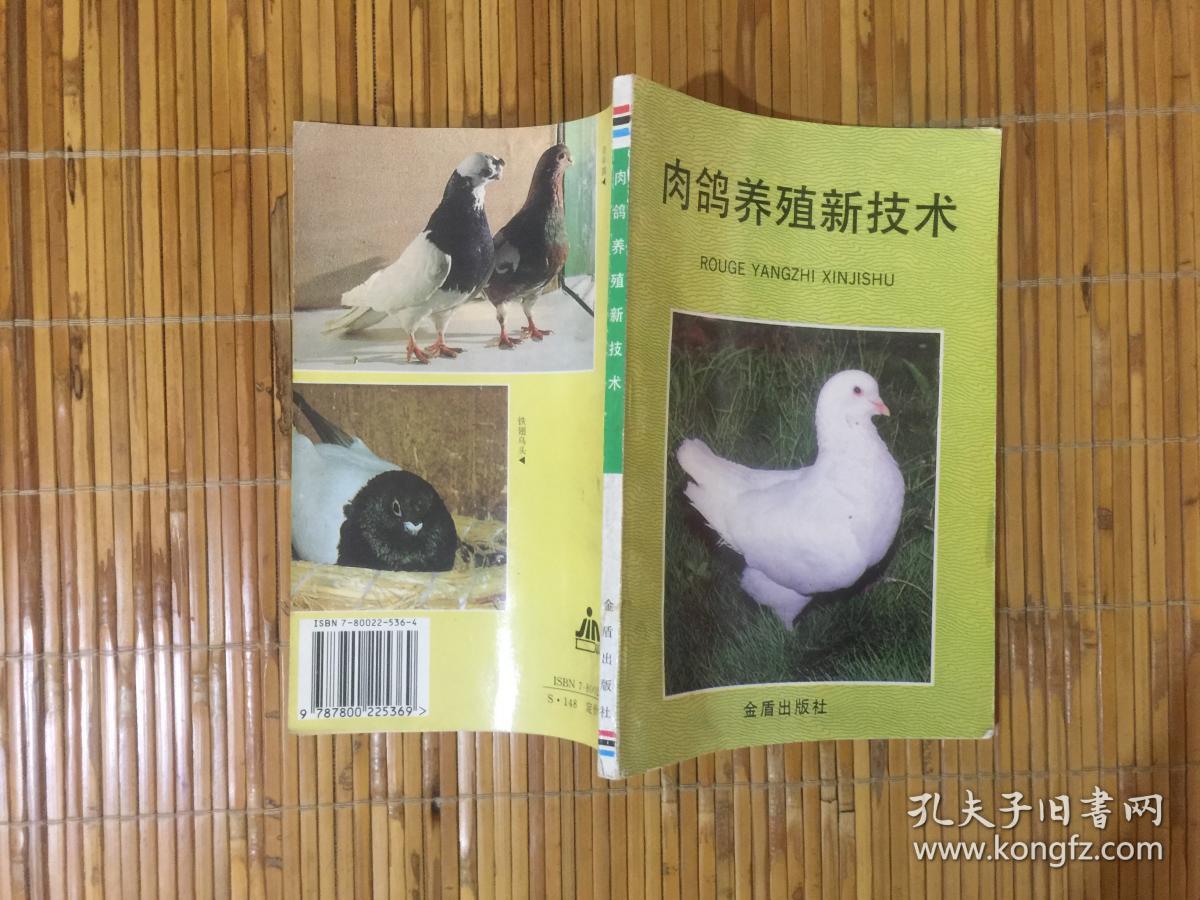 肉鸽养殖新技术