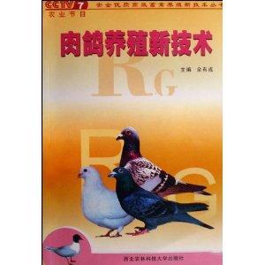 肉鸽养殖新技术