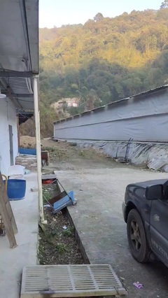 富贵鸽家庭农场