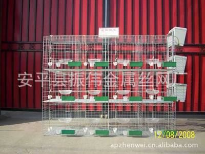 鸽笼 鸽笼厂家直销、肉鸽笼、种鸽笼-安平县振伟金属丝网厂提供鸽笼 鸽笼厂家直销、肉鸽笼、种鸽笼的相关介绍、产品、服务、图片、价格安平县振伟金属丝网厂、护栏、护栏网、防护网、隔离栅、养殖业设备